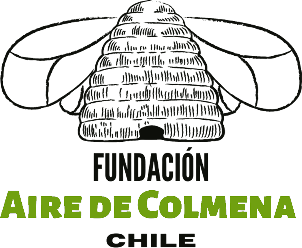 Fundación Aire de Colmena Chile