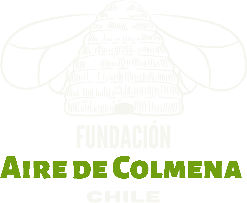 Fundación Aire de Colmena Chile