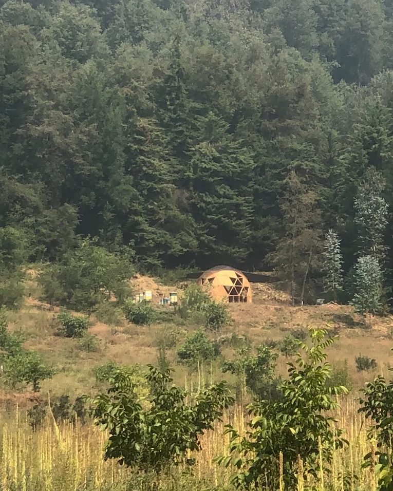 El valle y el bosque nativo que rodean el terreno de la fundación
